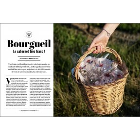 Bourgeuil Le cabernet très franc